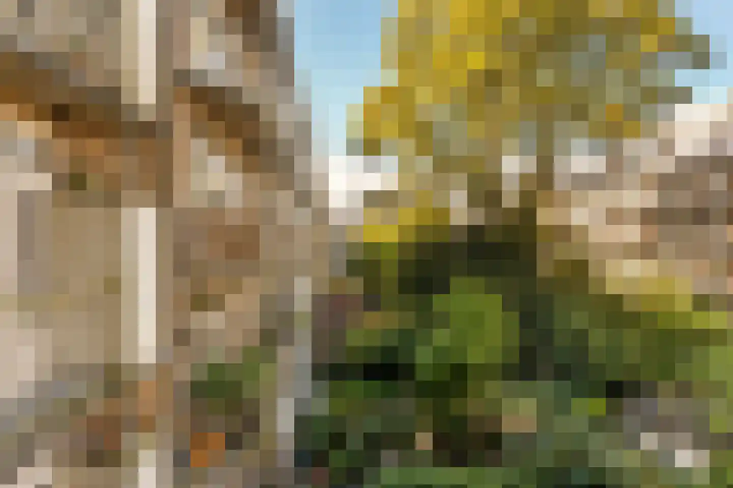 Willem de Zwijgerlaan 209 1 Amsterdam thumbnail 20