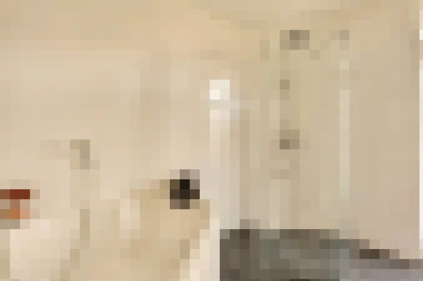 Willem de Zwijgerlaan 209 1 Amsterdam thumbnail 21