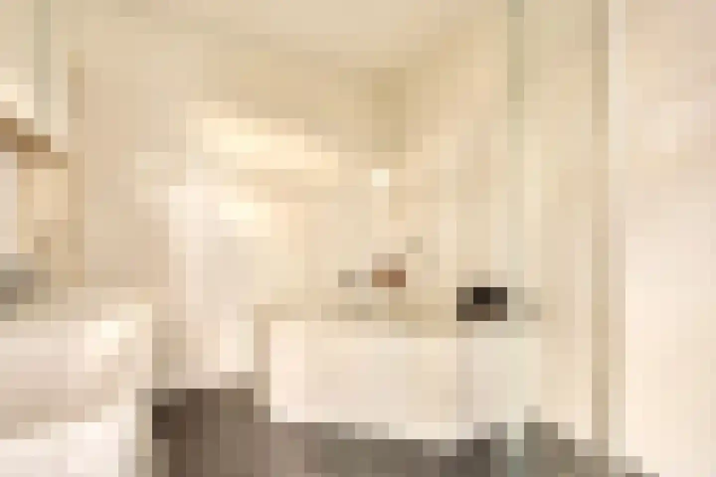 Willem de Zwijgerlaan 209 1 Amsterdam thumbnail 22