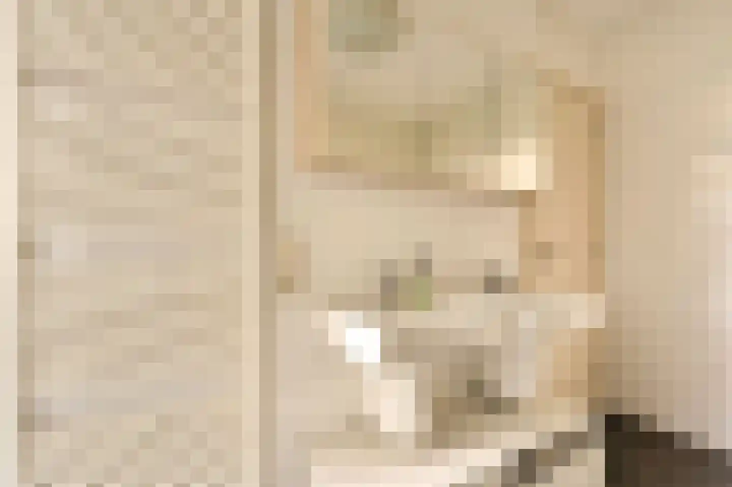 Willem de Zwijgerlaan 209 1 Amsterdam thumbnail 23