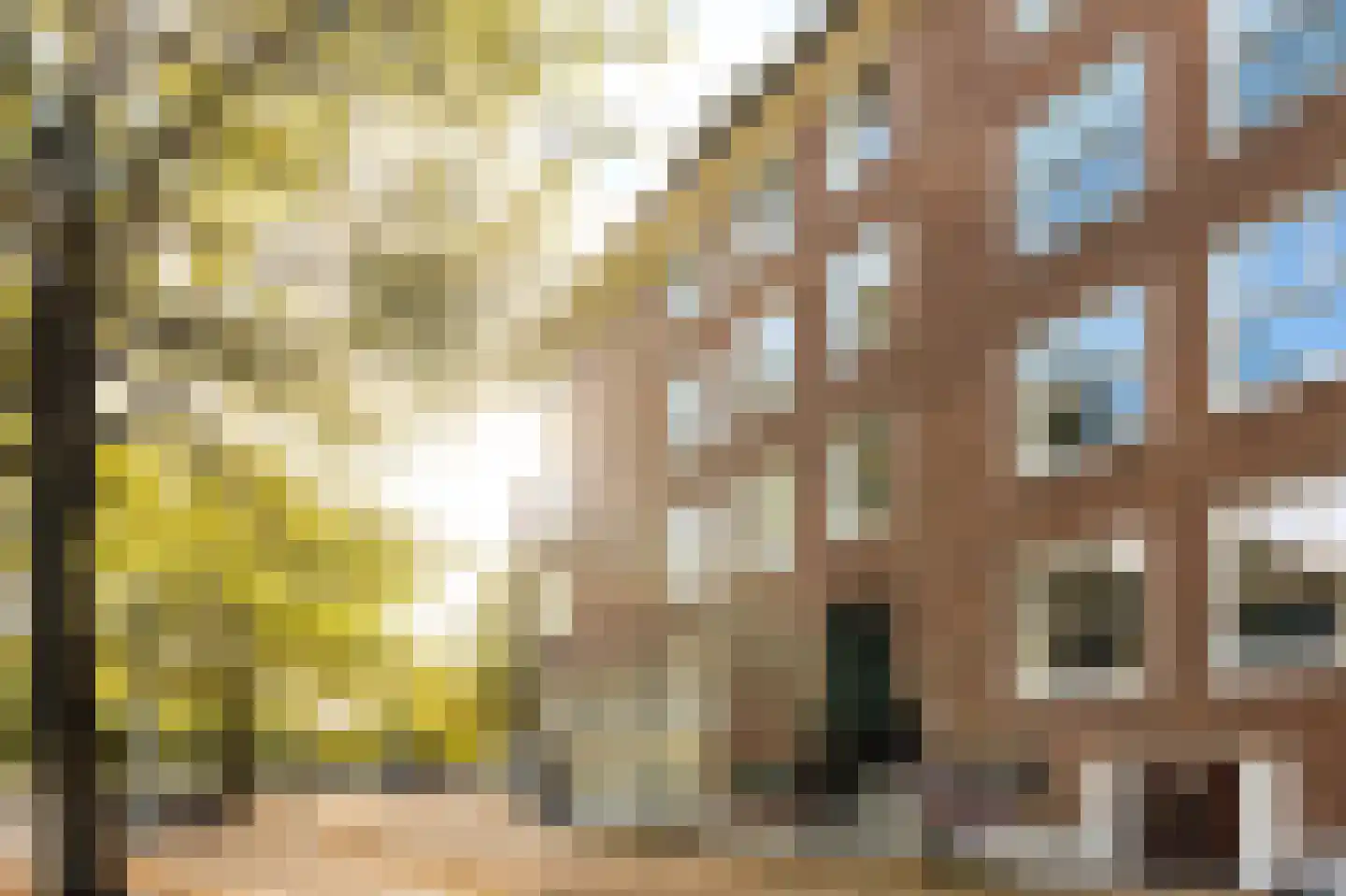 Willem de Zwijgerlaan 209 1 Amsterdam thumbnail 24