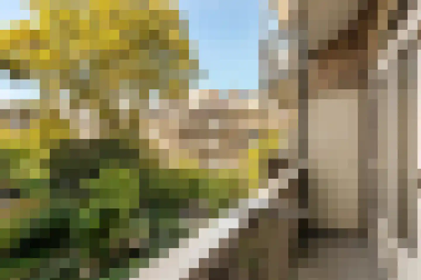 Willem de Zwijgerlaan 209 1 Amsterdam thumbnail 5