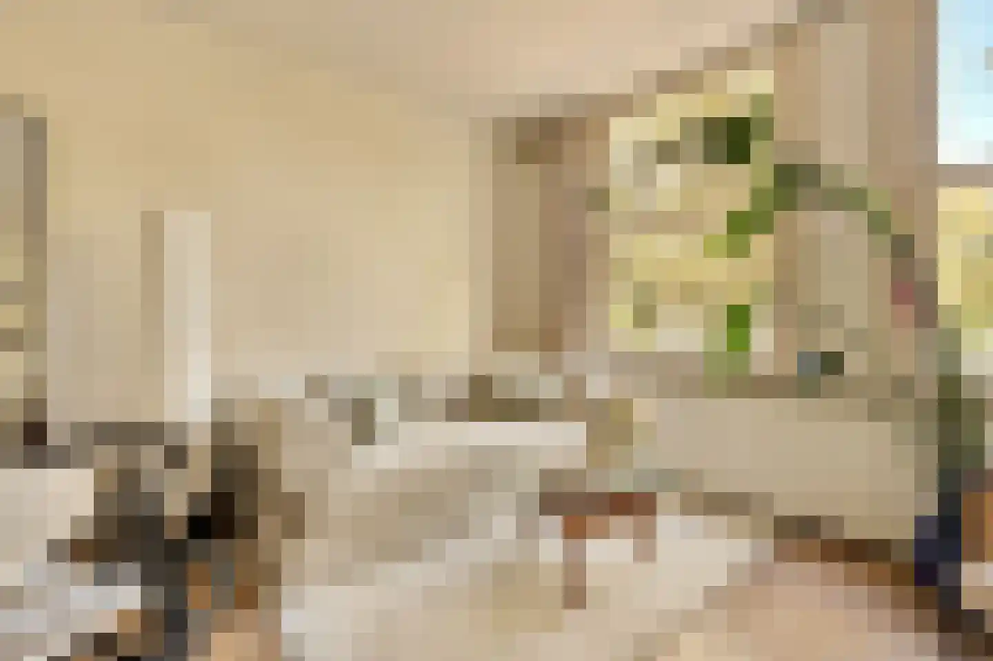 Willem de Zwijgerlaan 209 1 Amsterdam thumbnail 8
