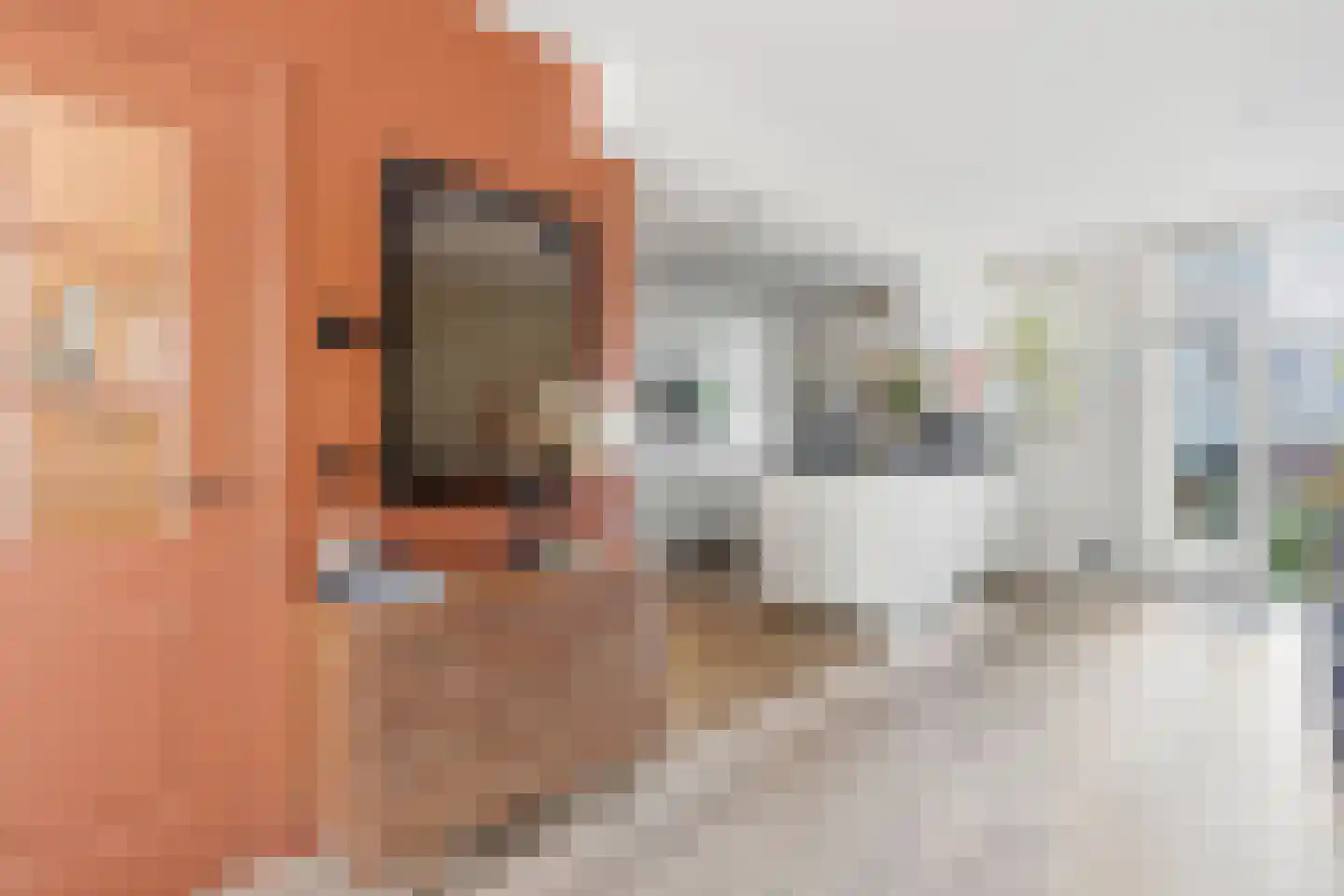 Willem de Zwijgerlaan 209 H Amsterdam thumbnail 10