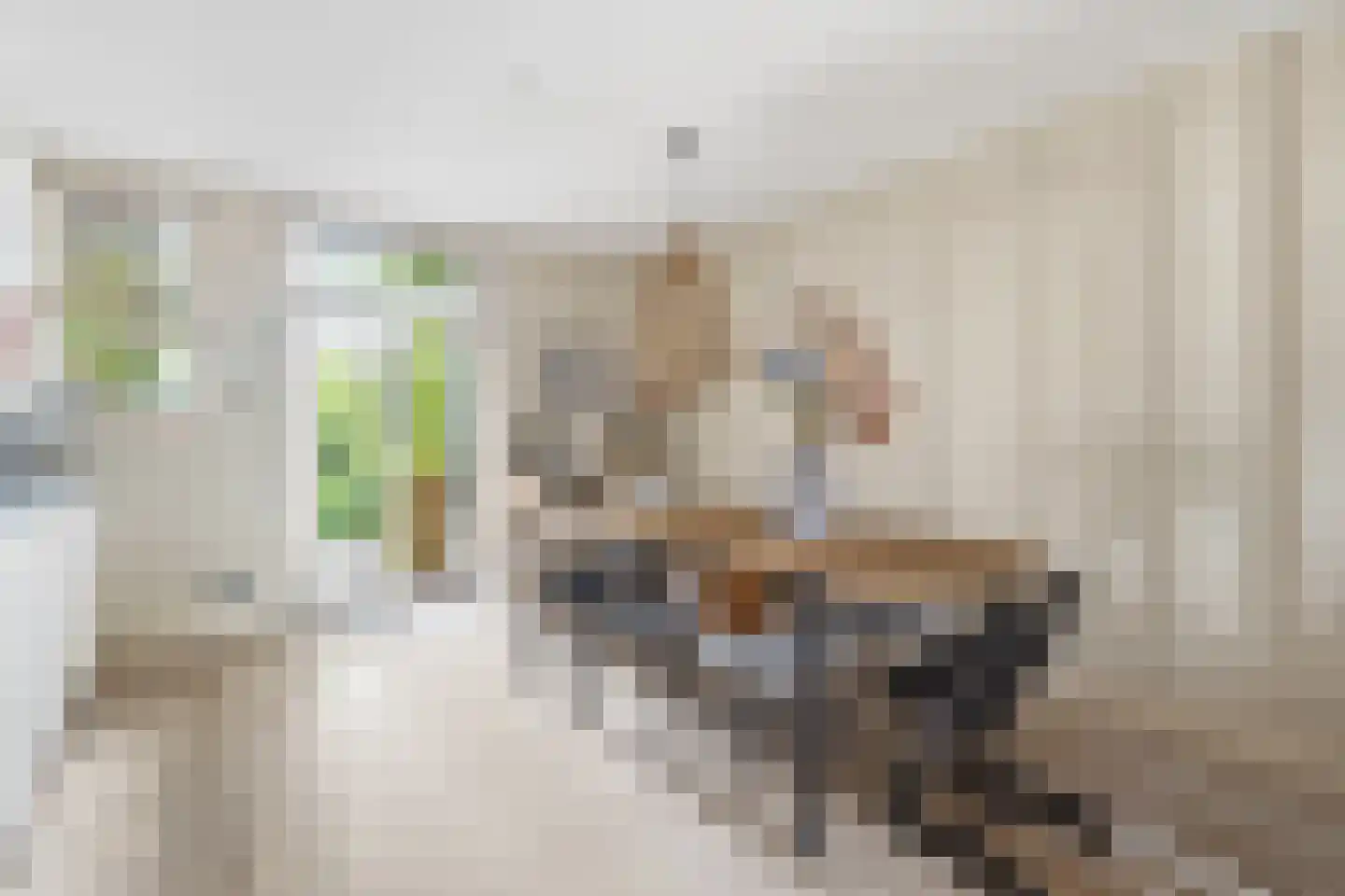 Willem de Zwijgerlaan 209 H Amsterdam thumbnail 12