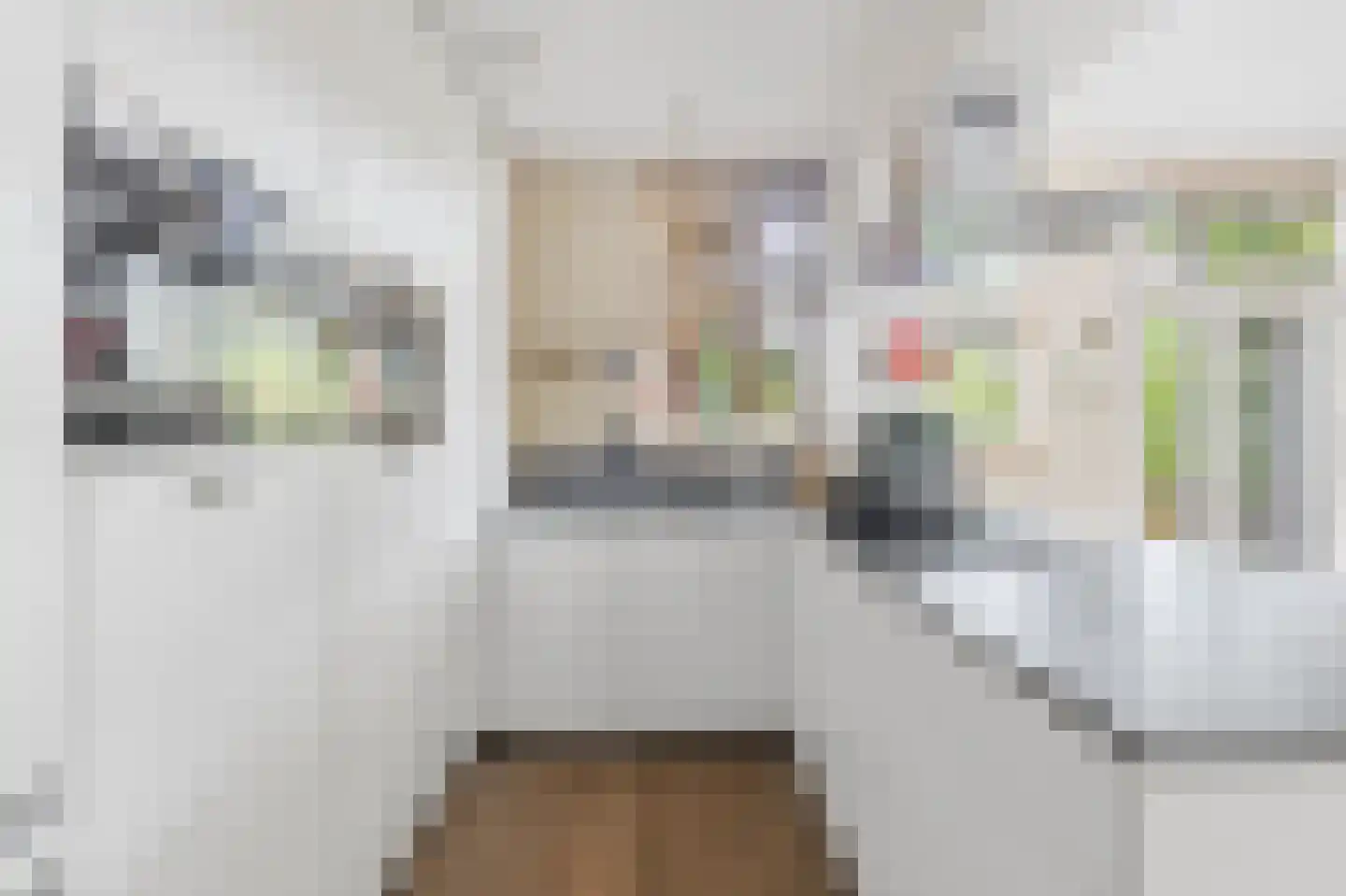 Willem de Zwijgerlaan 209 H Amsterdam thumbnail 18