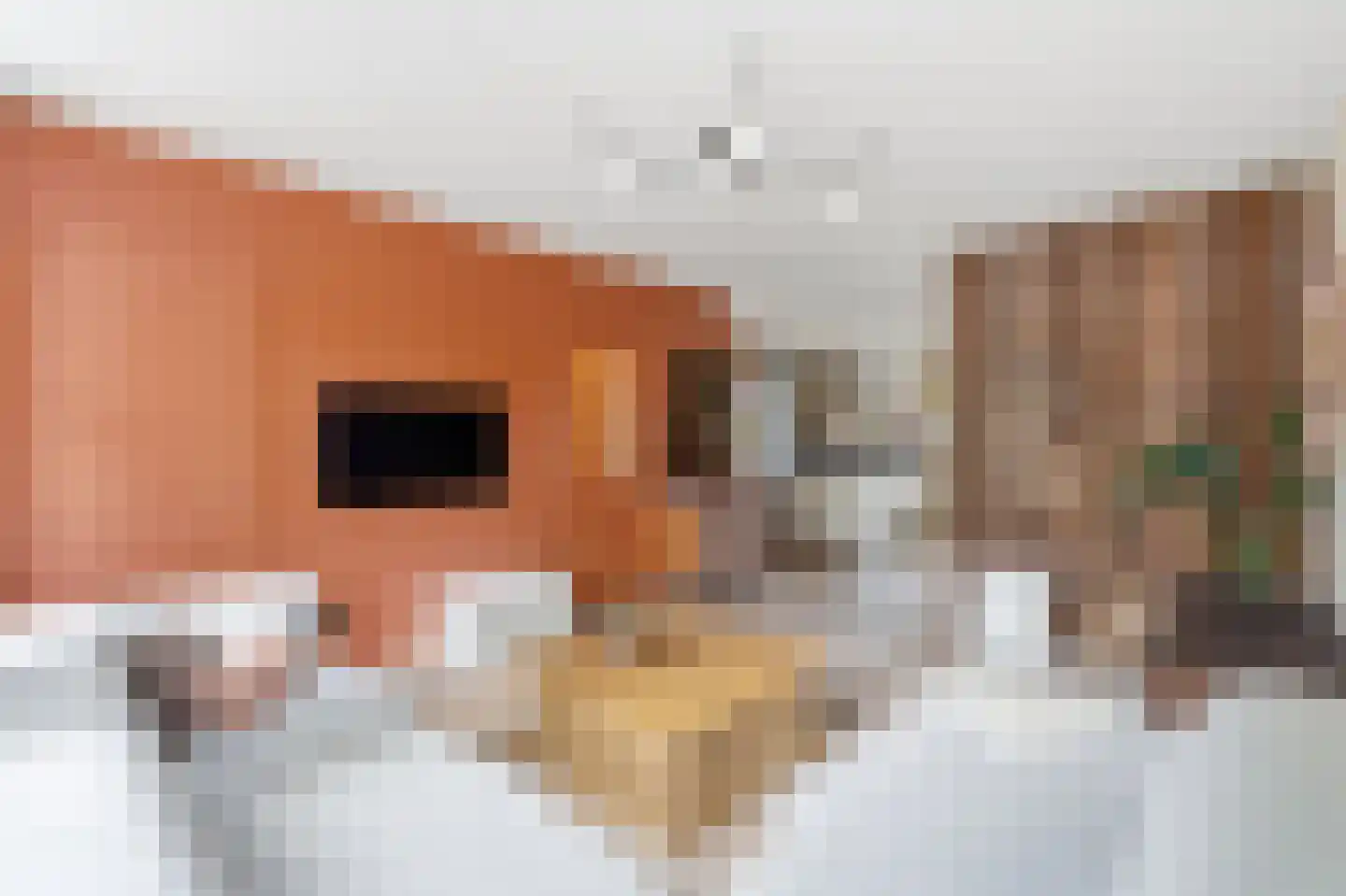 Willem de Zwijgerlaan 209 H Amsterdam thumbnail 20