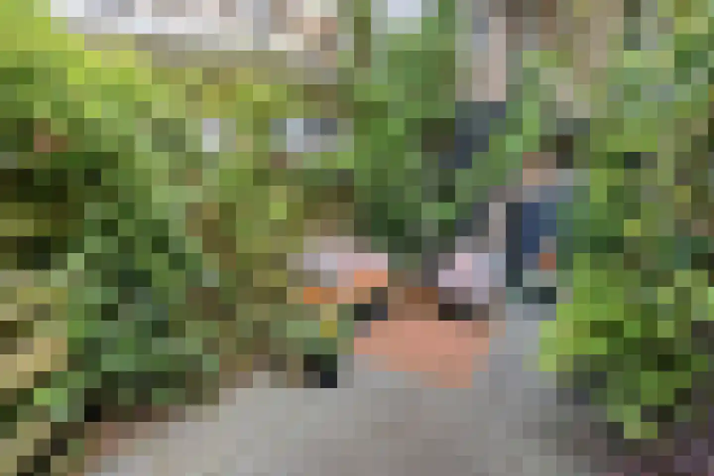 Willem de Zwijgerlaan 209 H Amsterdam thumbnail 4