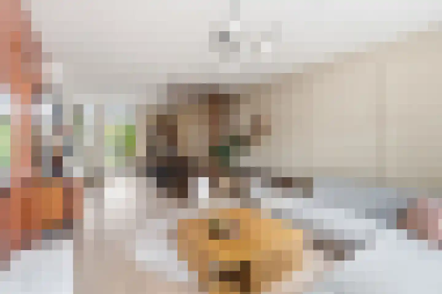 Willem de Zwijgerlaan 209 H Amsterdam thumbnail 5