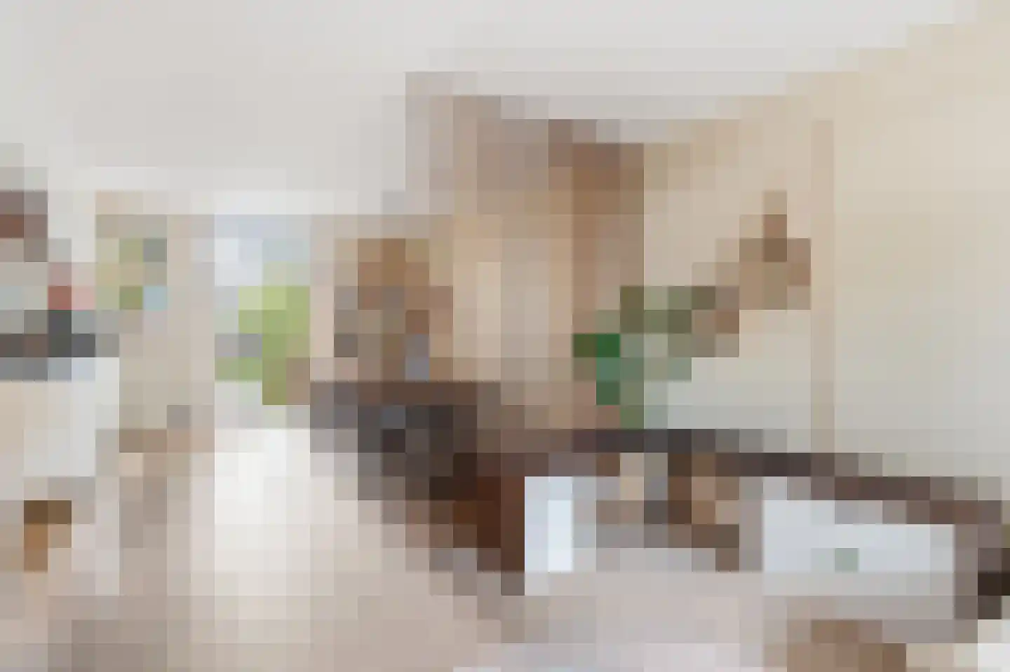 Willem de Zwijgerlaan 209 H Amsterdam thumbnail 8