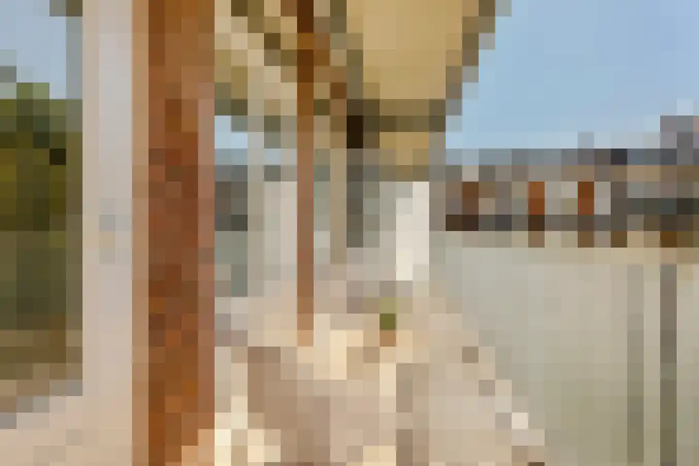 Willem de Zwijgerlaan 21 2 Amsterdam thumbnail 14