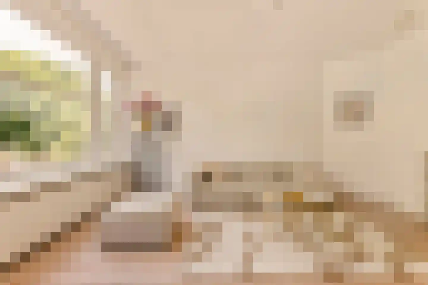 Willem de Zwijgerlaan 21 2 Amsterdam thumbnail 4