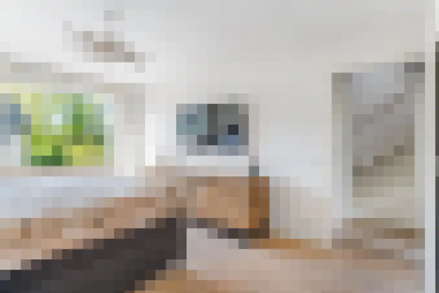 Willem de Zwijgerlaan 21 Hoevelaken thumbnail 15