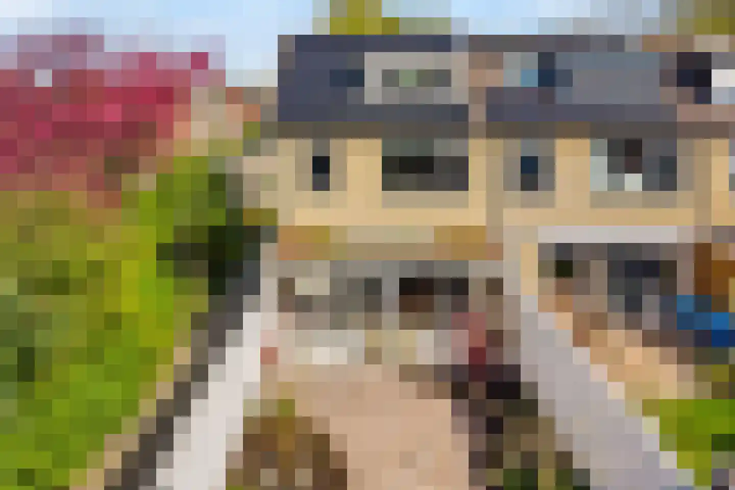 Willem de Zwijgerlaan 21 Hoevelaken thumbnail 25