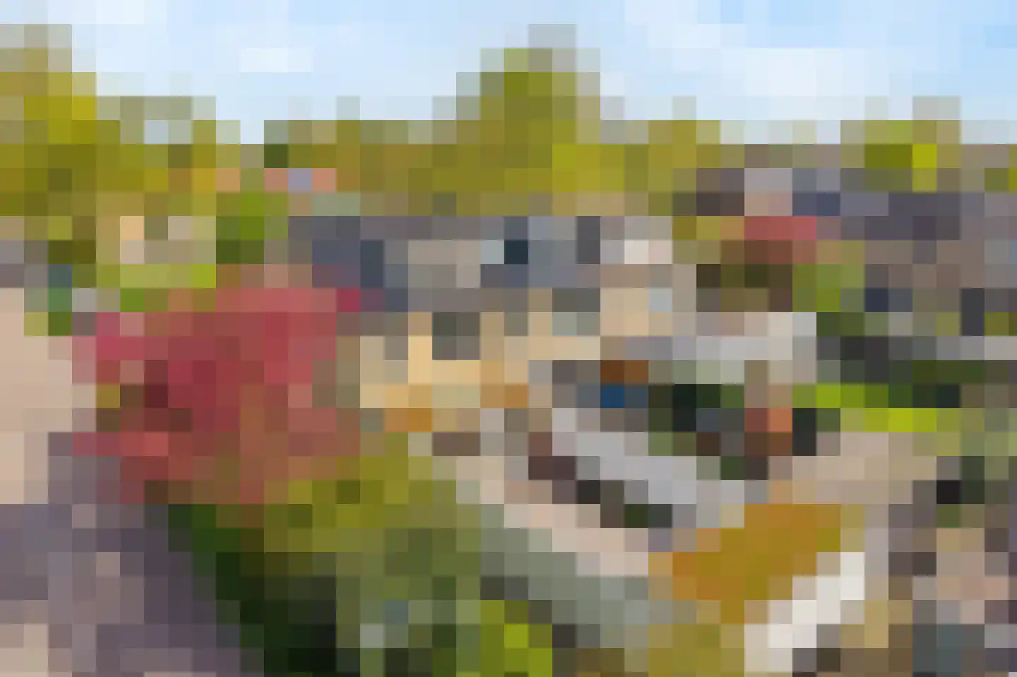 Willem de Zwijgerlaan 21 Hoevelaken thumbnail 26
