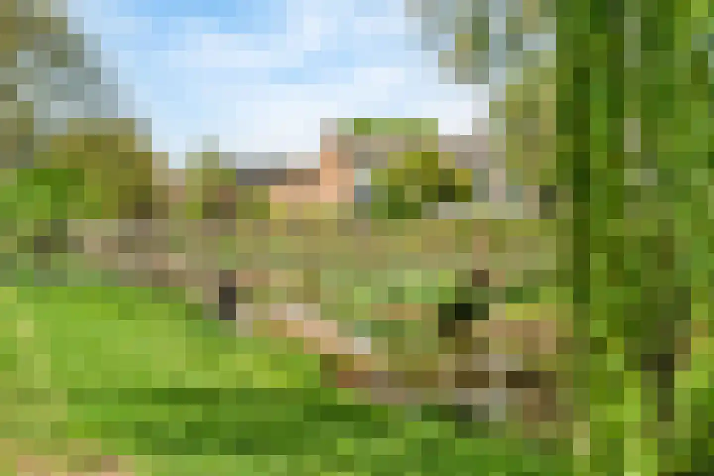 Willem de Zwijgerlaan 21 Hoevelaken thumbnail 31