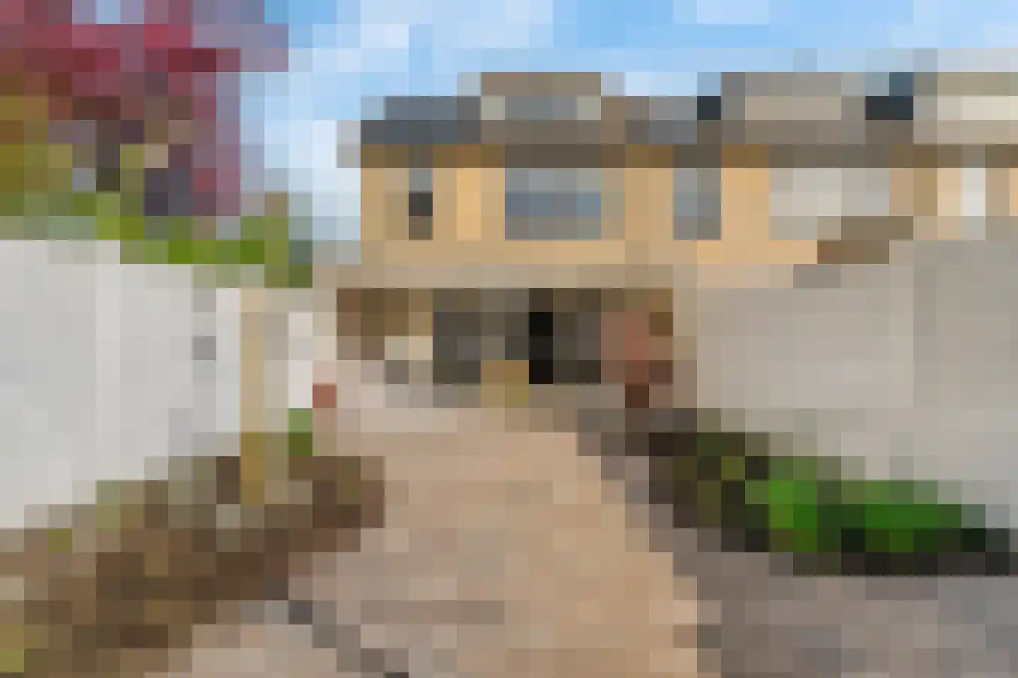 Willem de Zwijgerlaan 21 Hoevelaken thumbnail 4