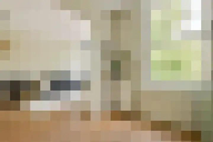 Willem de Zwijgerlaan 211 3 Amsterdam thumbnail 11