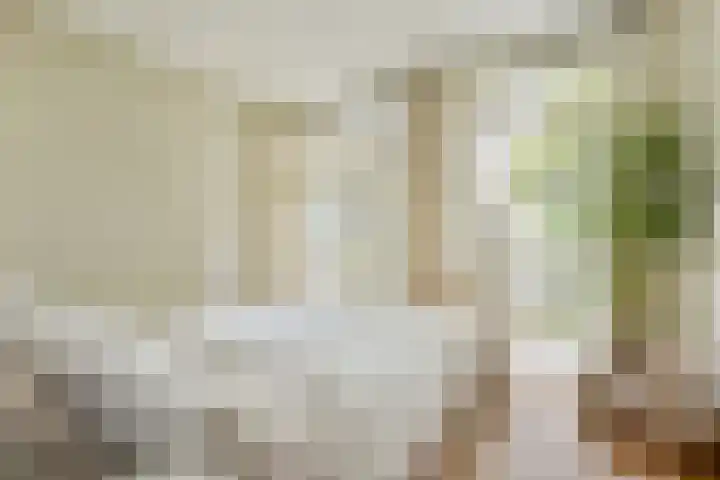 Willem de Zwijgerlaan 211 3 Amsterdam thumbnail 18