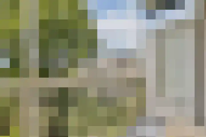 Willem de Zwijgerlaan 211 3 Amsterdam thumbnail 22