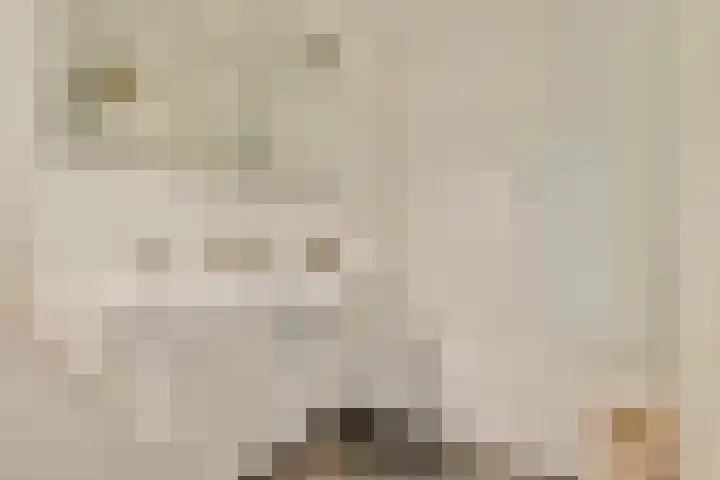 Willem de Zwijgerlaan 211 3 Amsterdam thumbnail 24