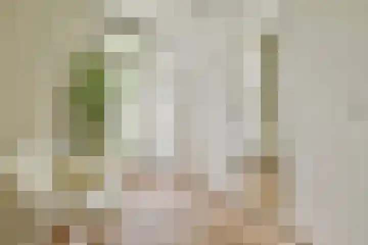 Willem de Zwijgerlaan 211 3 Amsterdam thumbnail 27