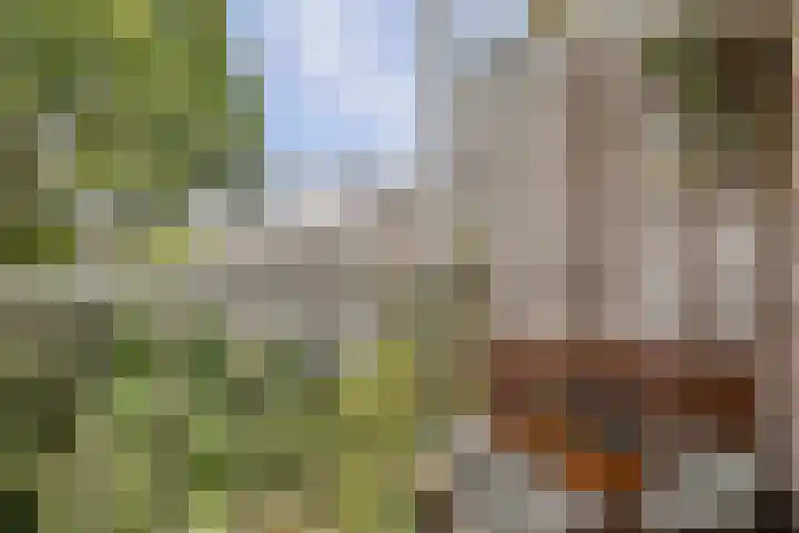 Willem de Zwijgerlaan 211 3 Amsterdam thumbnail 29