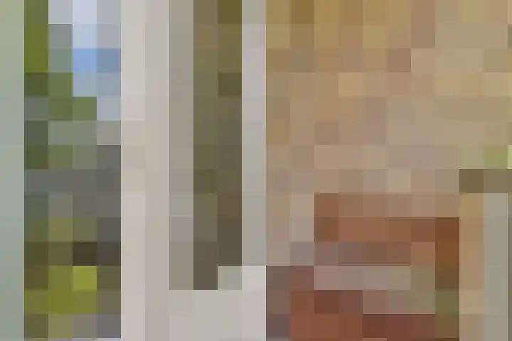 Willem de Zwijgerlaan 211 3 Amsterdam thumbnail 30