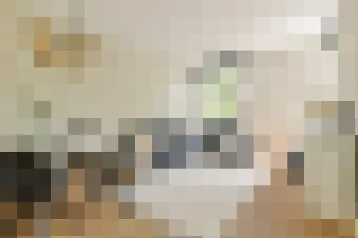Willem de Zwijgerlaan 211 3 Amsterdam thumbnail 4