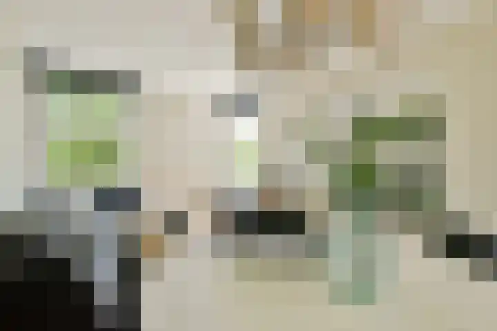 Willem de Zwijgerlaan 211 3 Amsterdam thumbnail 7
