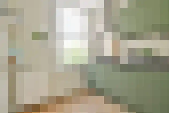 Willem de Zwijgerlaan 211 3 Amsterdam thumbnail 8