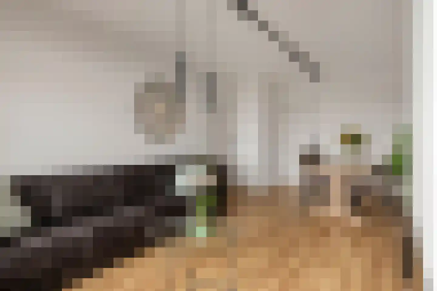 Willem de Zwijgerlaan 212 Alkmaar thumbnail 10