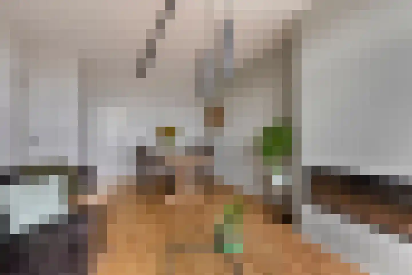 Willem de Zwijgerlaan 212 Alkmaar thumbnail 11
