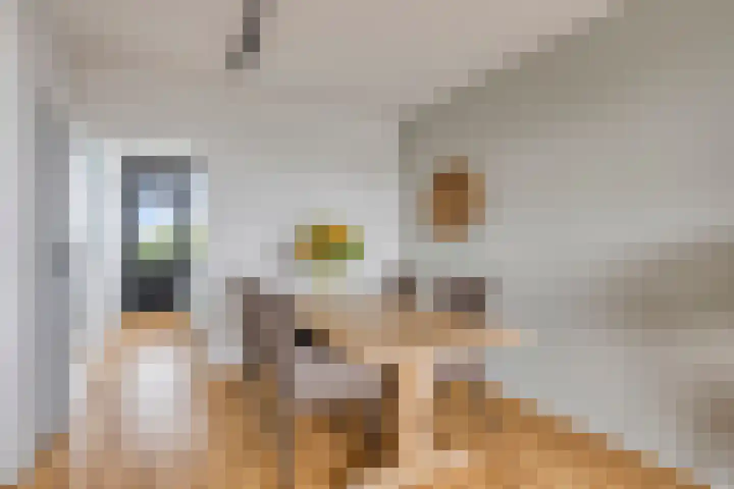 Willem de Zwijgerlaan 212 Alkmaar thumbnail 13