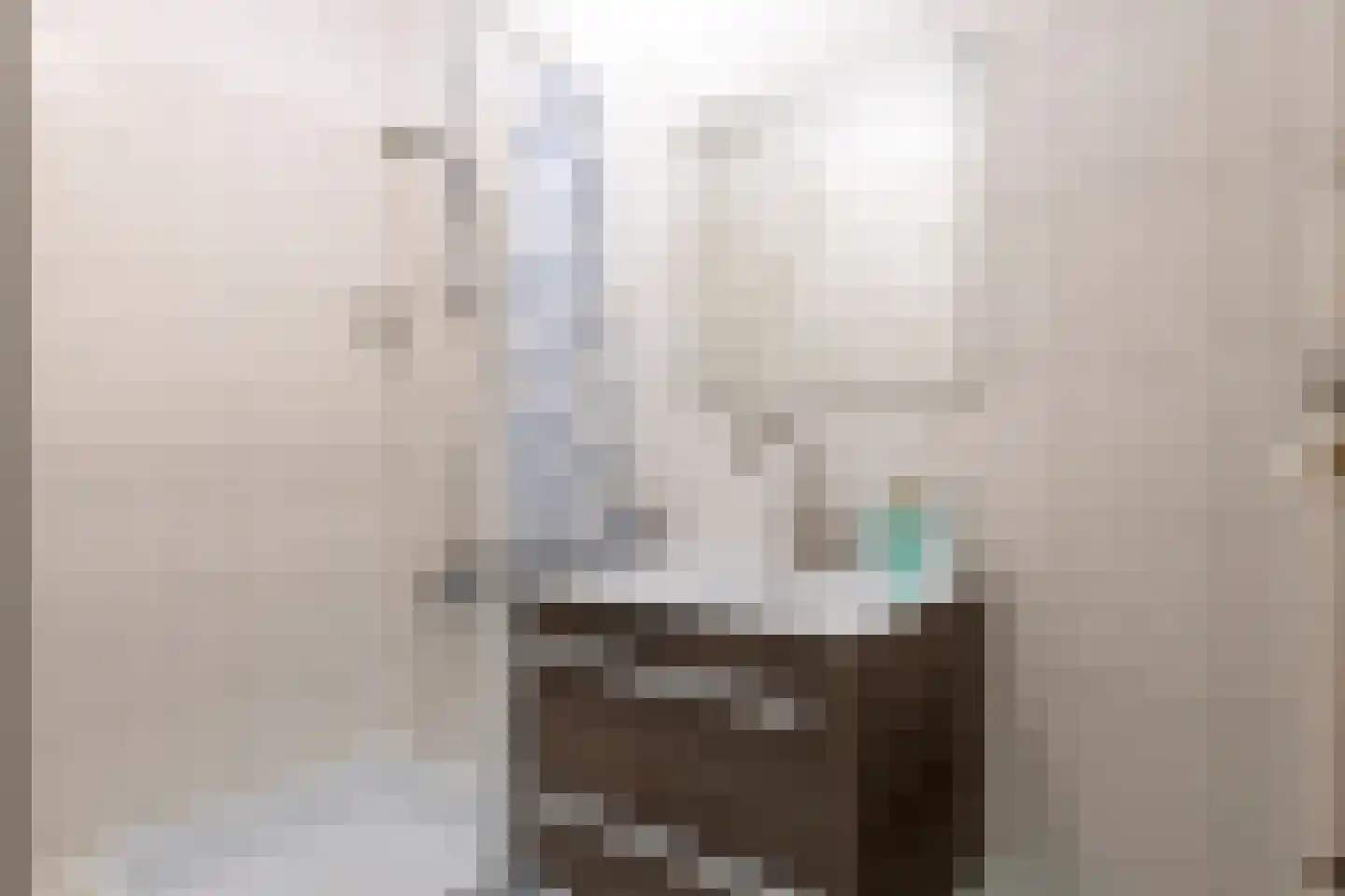 Willem de Zwijgerlaan 212 Alkmaar thumbnail 22