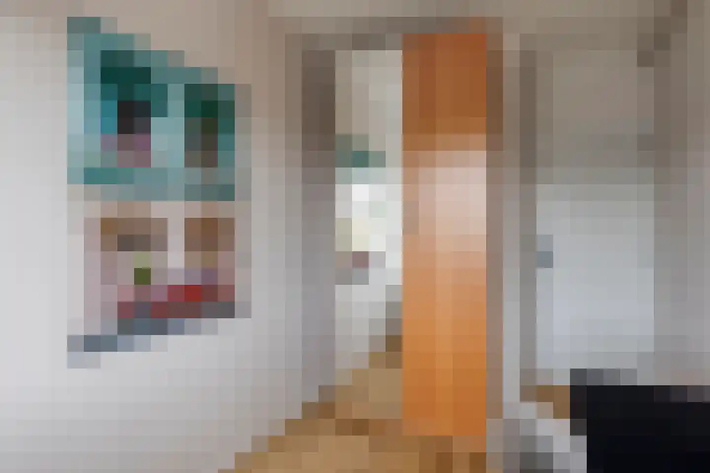 Willem de Zwijgerlaan 212 Alkmaar thumbnail 26