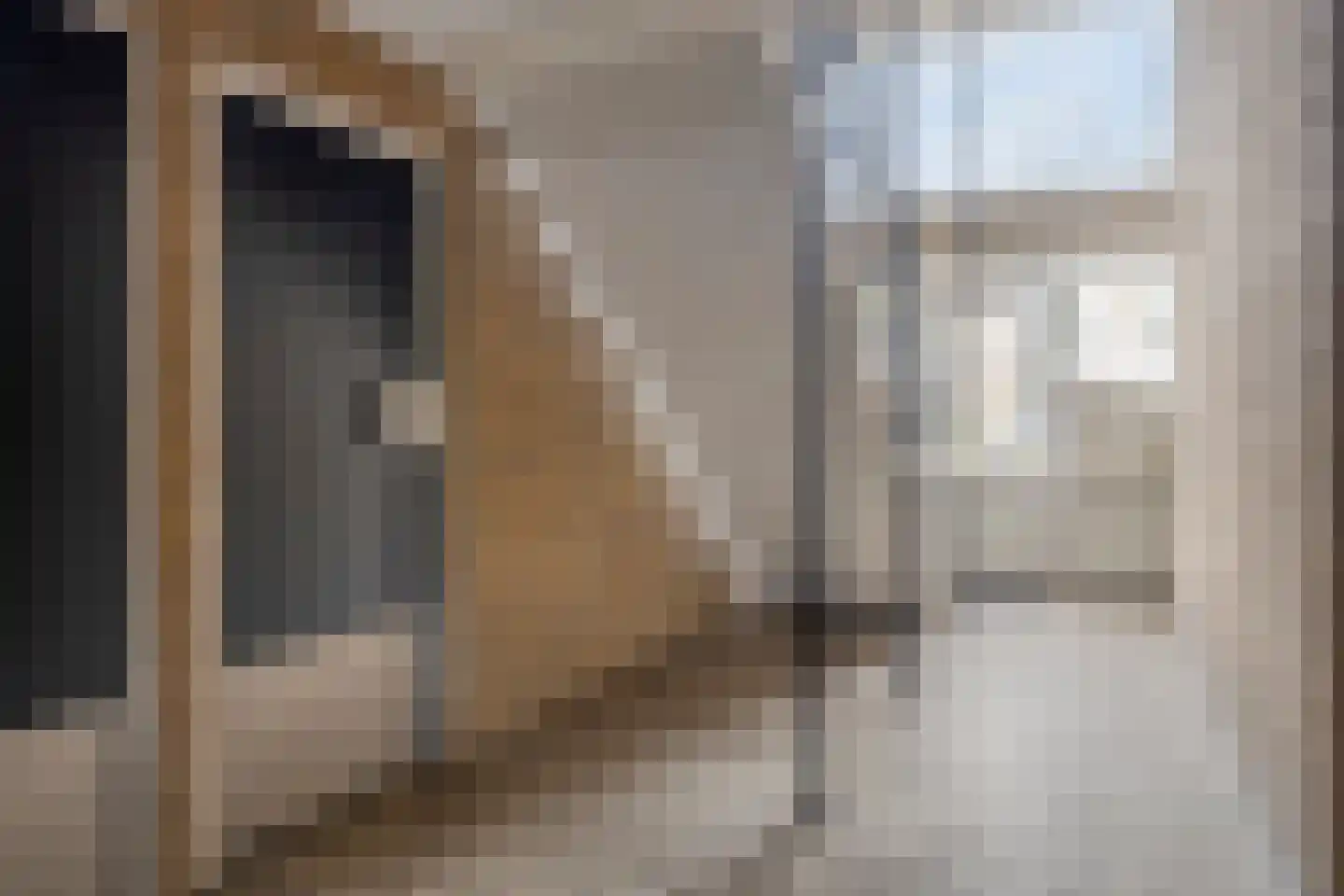 Willem de Zwijgerlaan 212 Alkmaar thumbnail 27