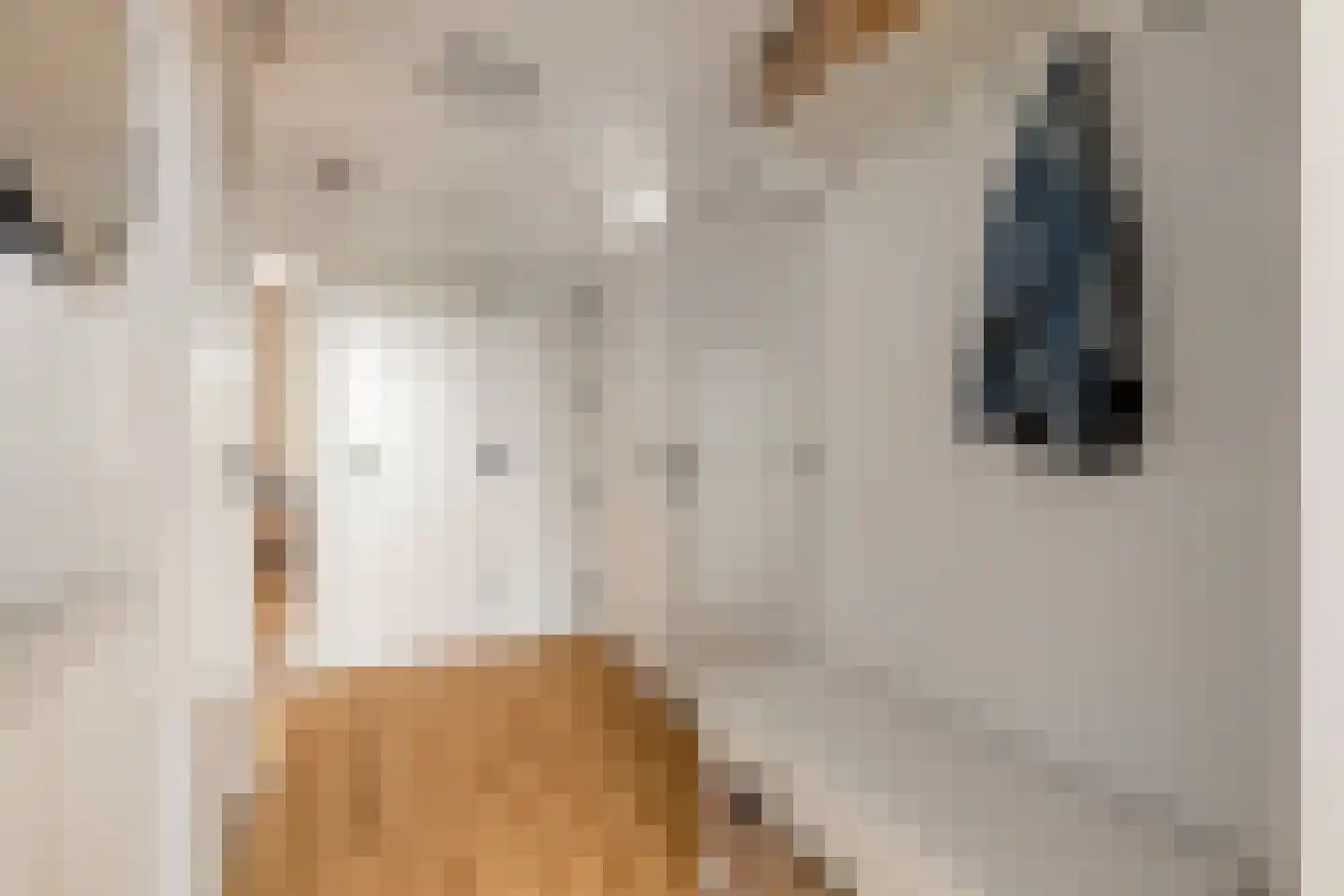 Willem de Zwijgerlaan 212 Alkmaar thumbnail 7