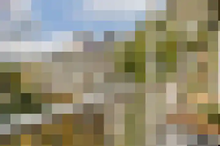 Willem de Zwijgerlaan 215 1 Amsterdam thumbnail 14