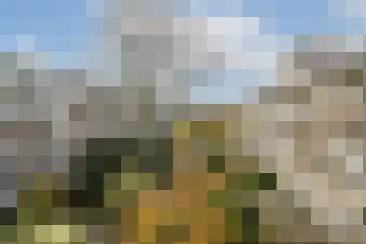 Willem de Zwijgerlaan 215 1 Amsterdam thumbnail 21