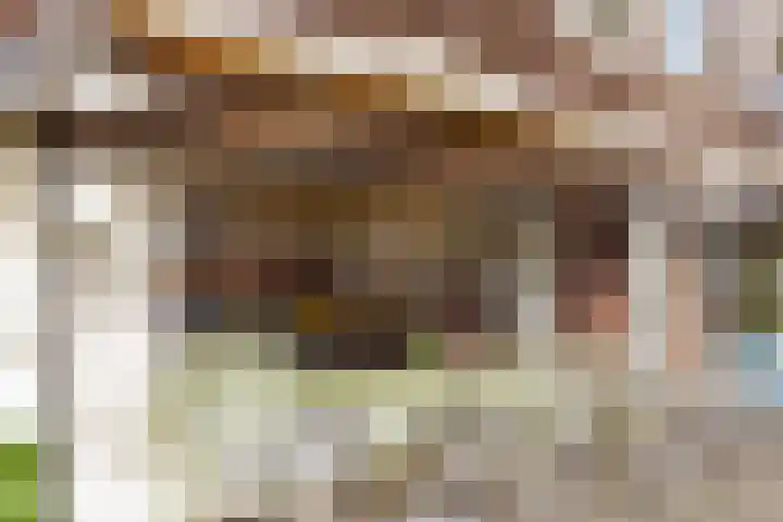 Willem de Zwijgerlaan 215 1 Amsterdam thumbnail 27