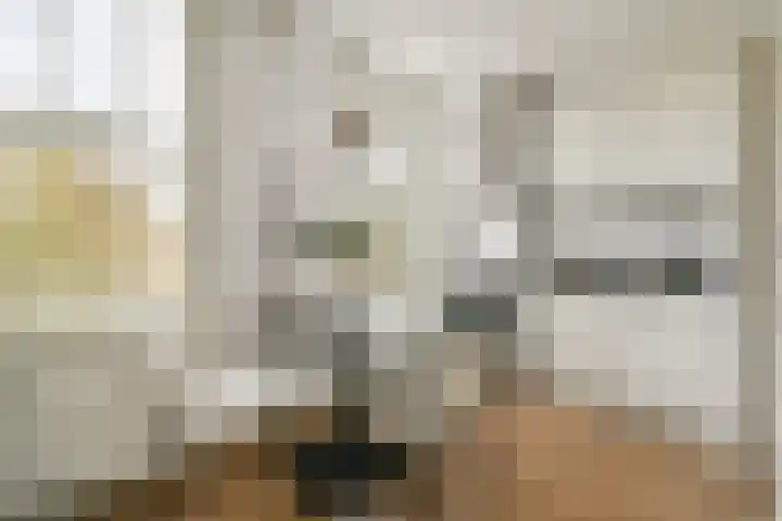 Willem de Zwijgerlaan 215 1 Amsterdam thumbnail 7