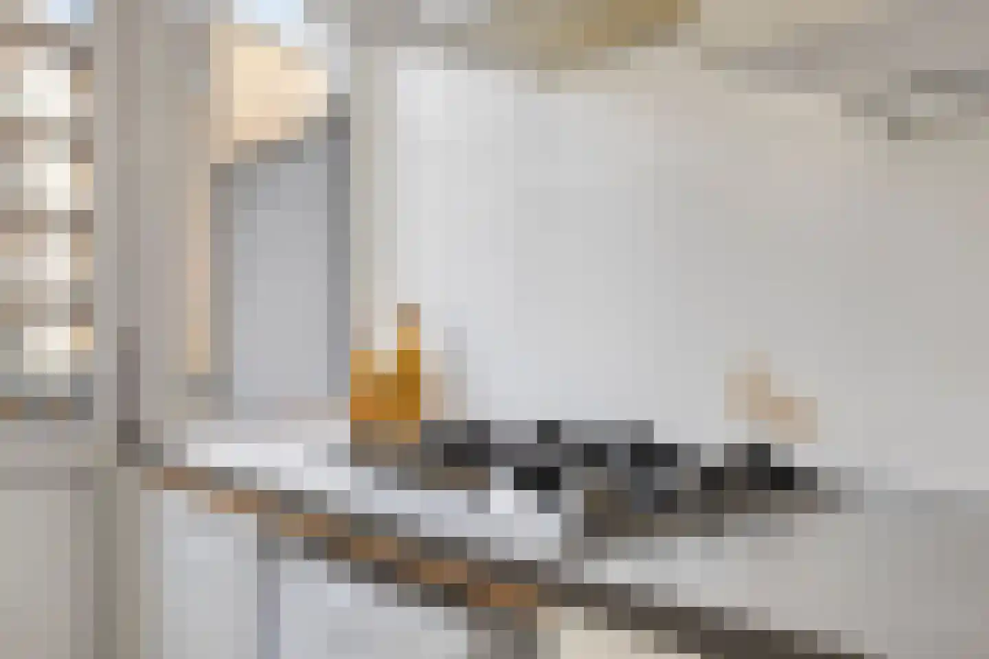Willem de Zwijgerlaan 22 2 Amsterdam thumbnail 24