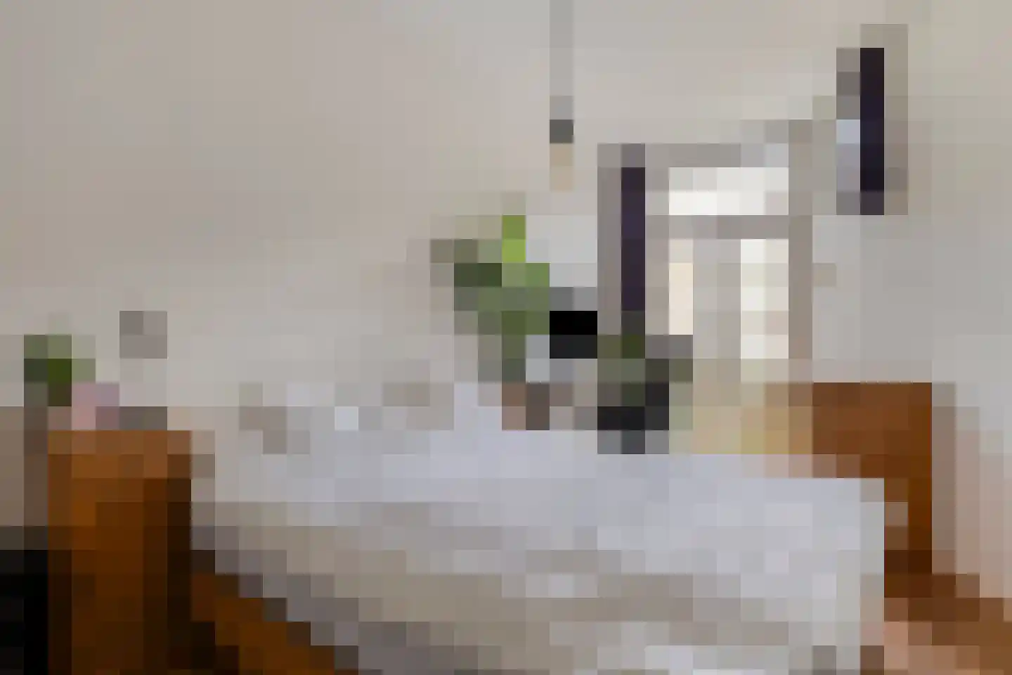 Willem de Zwijgerlaan 22 2 Amsterdam thumbnail 26