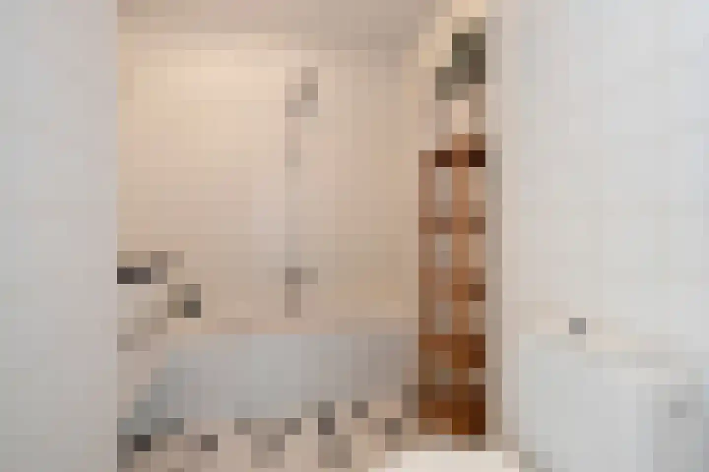 Willem de Zwijgerlaan 22 2 Amsterdam thumbnail 34