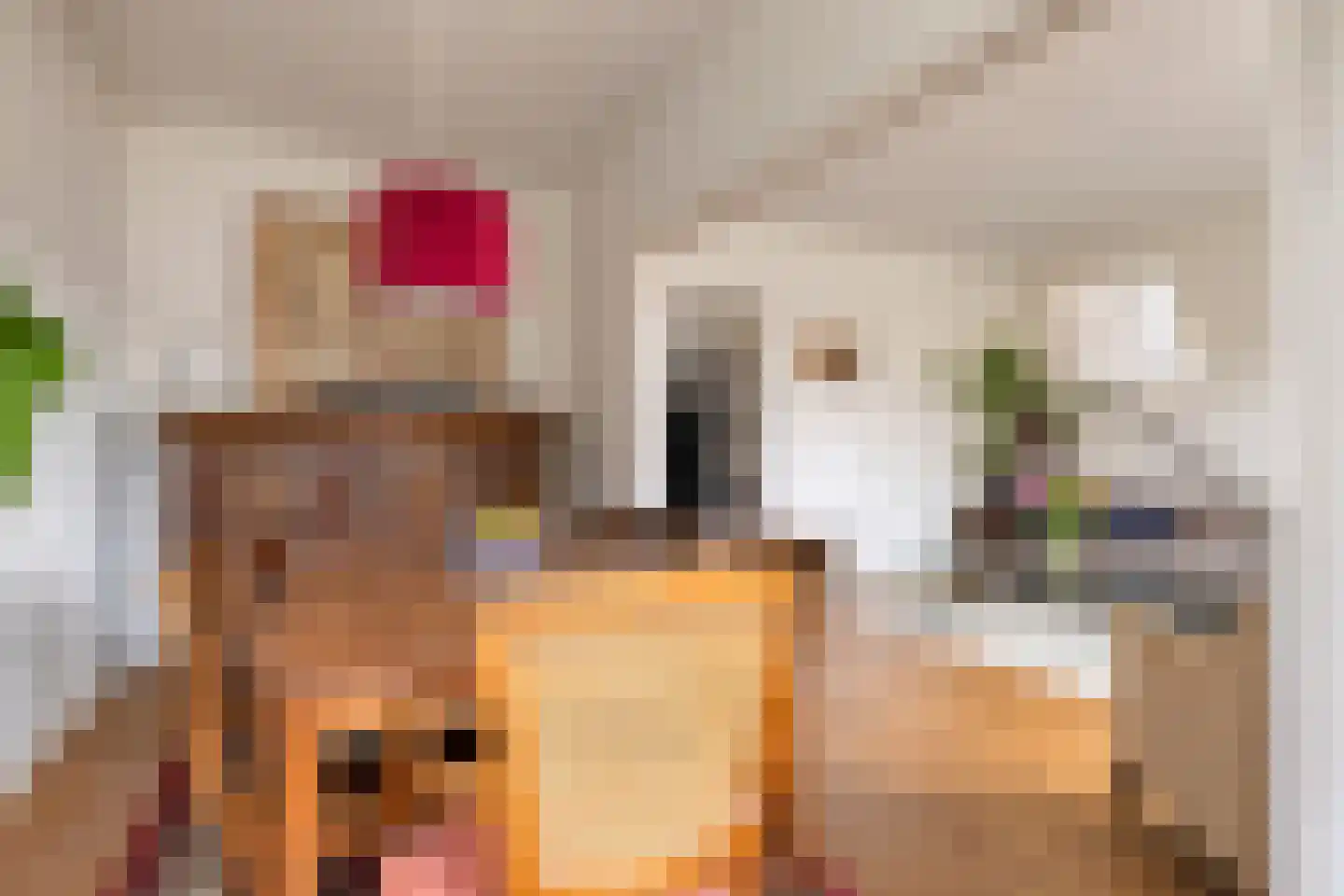 Willem de Zwijgerlaan 22 3 Amsterdam thumbnail 19