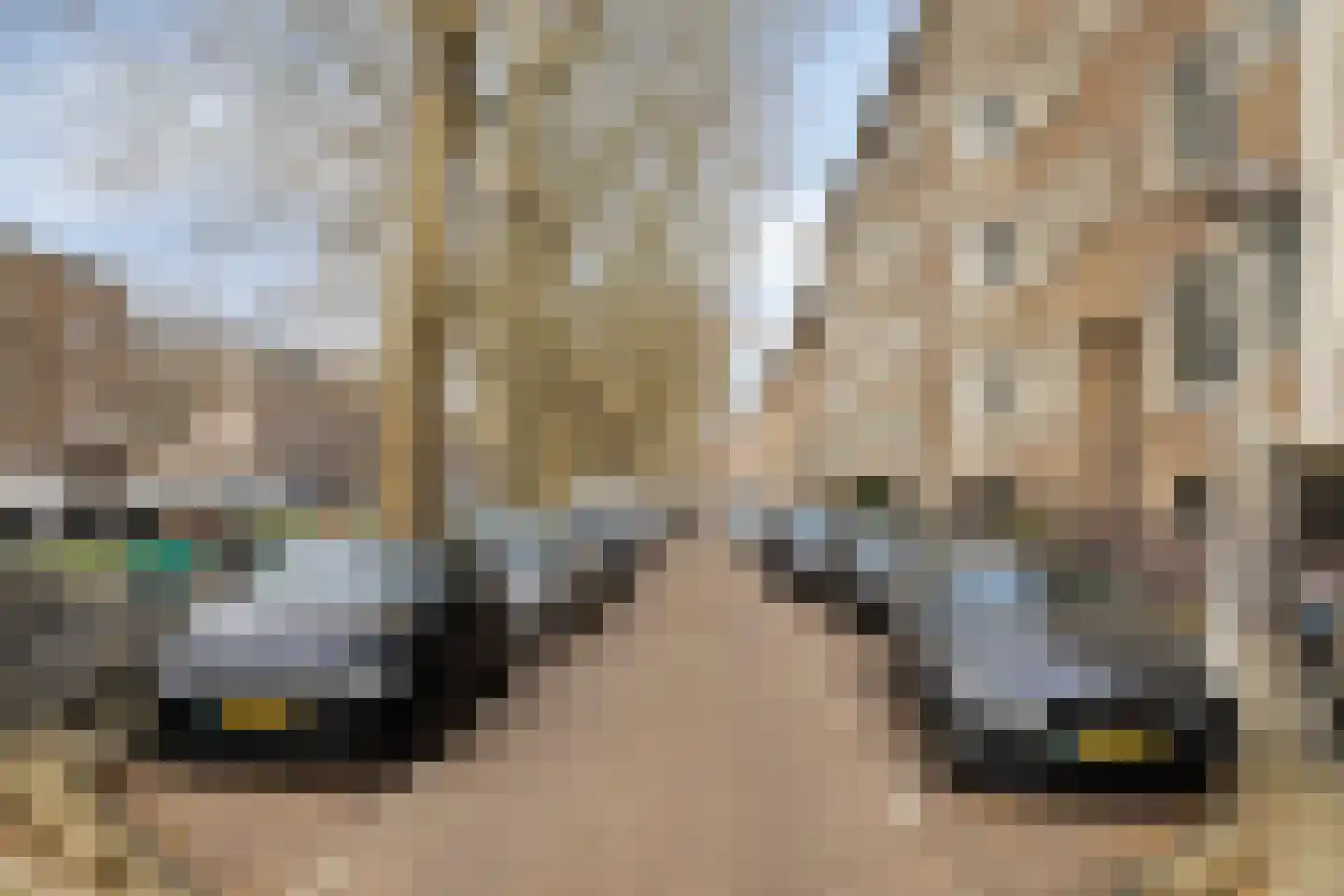 Willem de Zwijgerlaan 22 3 Amsterdam thumbnail 41