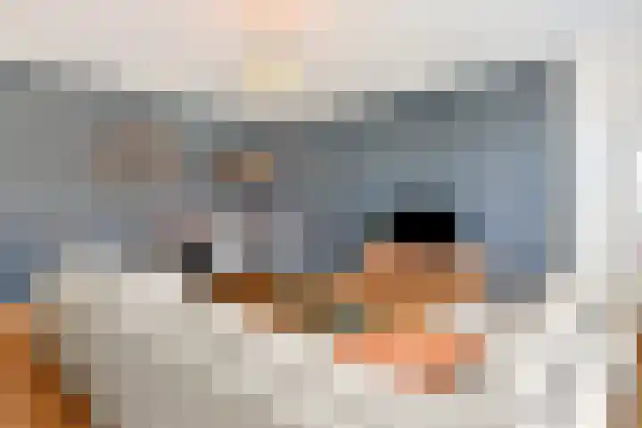 Willem de Zwijgerlaan 22 B Den Haag thumbnail 10