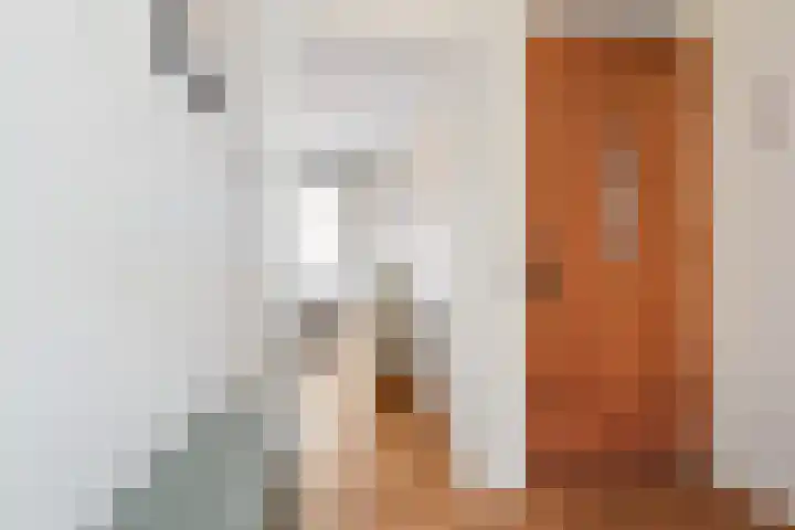 Willem de Zwijgerlaan 22 B Den Haag thumbnail 11