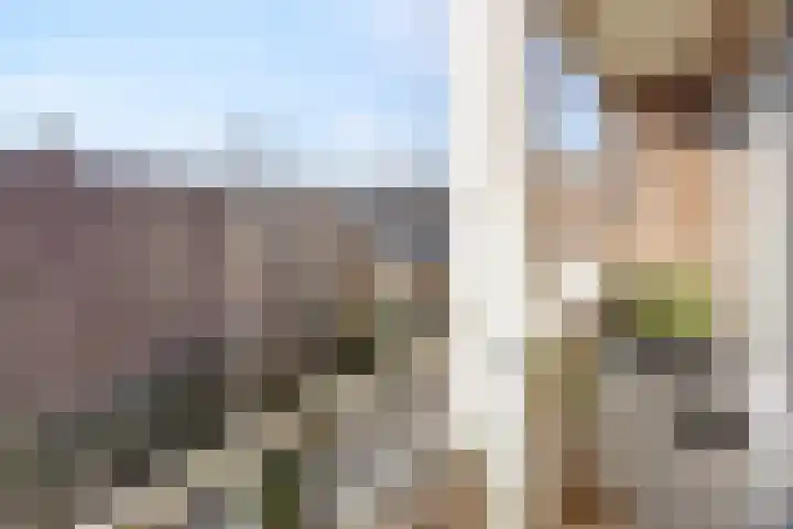Willem de Zwijgerlaan 22 B Den Haag thumbnail 17
